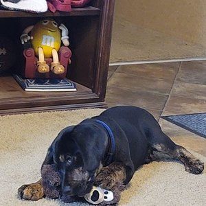 Meet your Posher, Jenifer